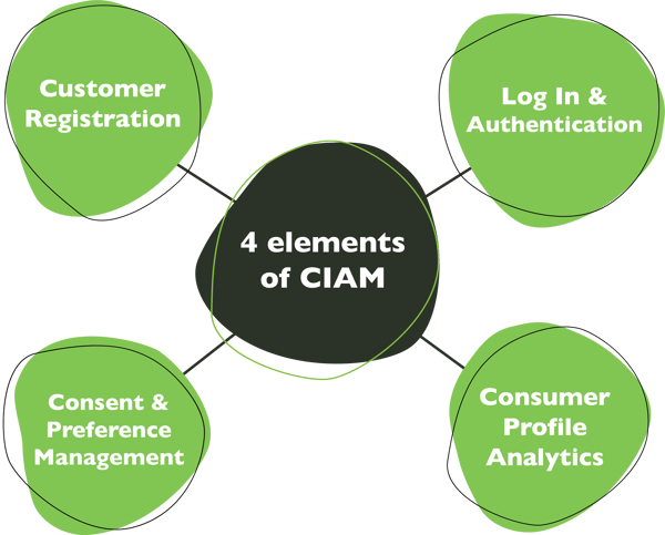 4 elements of Consumer IAM (CIAM)